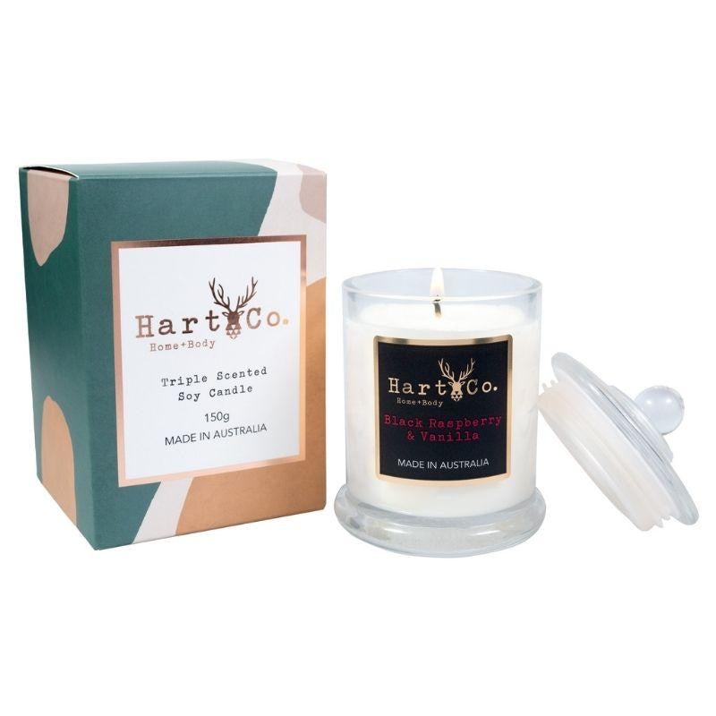 Small Black Raspberry & Vanilla Candle