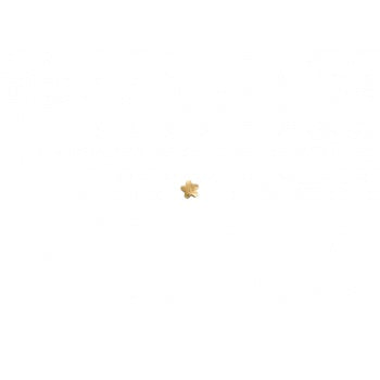 Gold Star Nose Stud